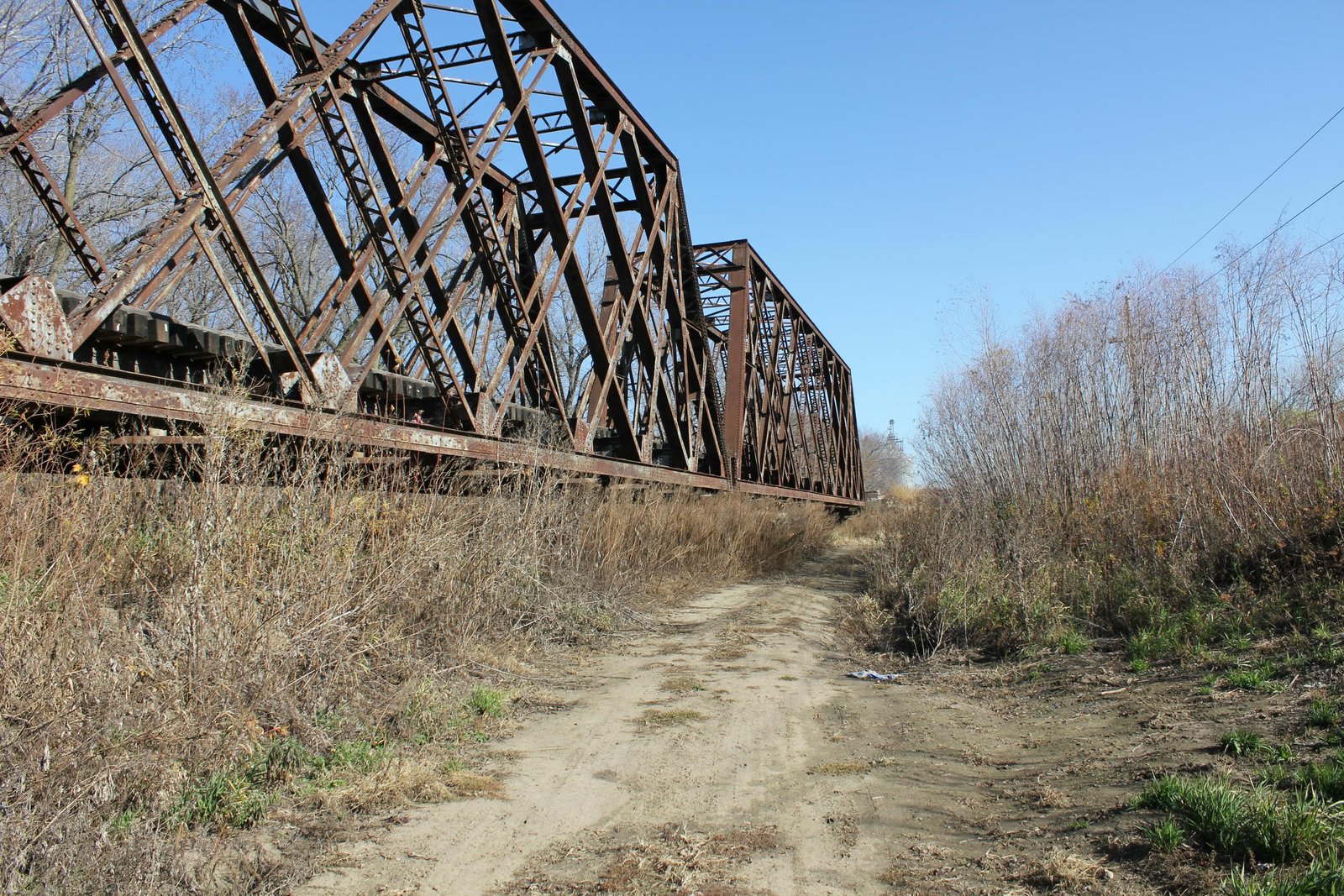 Looking east from riverbank